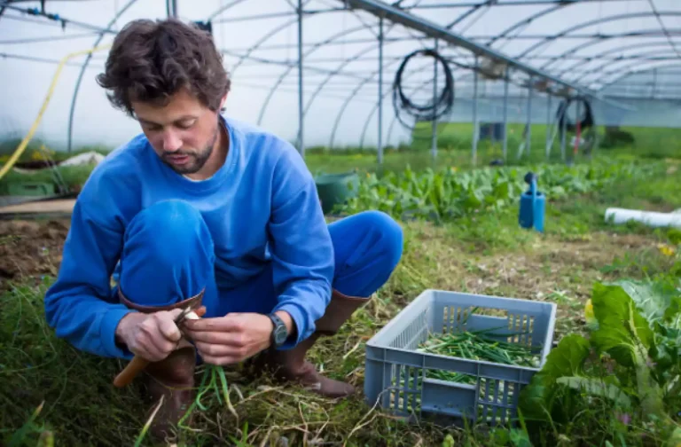 Advanced seed processing technology