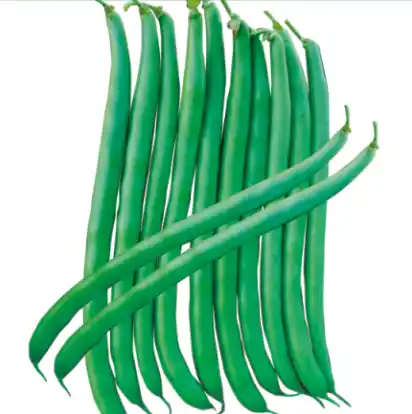 Pole Beans