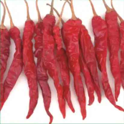 B-Bio Bellary Deluxe